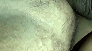 Wow! Hot Shemale Creampie Session with Barra Funda Studs