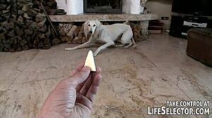 I remember those perfect weekend pick-ups with hardcore blowjobs and group threesomes on holiday.