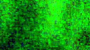 I want you to fuck my pussy with your huge cock