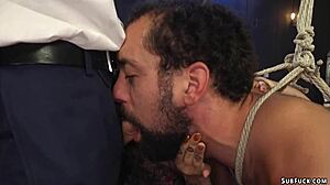 Busty femdom dominates bisexual dudes with strapon in bizarre bondage.