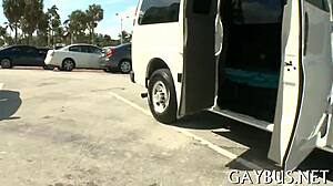 Sexy Gay Guys Engage In Passionate Sex Acts