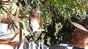 Hot suck and fuck in the 420 patch, guys getting wild with oral and anal.