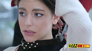 fancy lesbians, let’s get wild with this strapon in our luxe pad