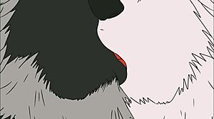 这是天才艺术家Halakadira创作的各种动画的超级合集。