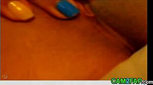 Asian webcam anal fingering and pussy play