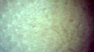 Amateur scene captures intimate homemade moment