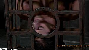 Machine Sadomasochism Session