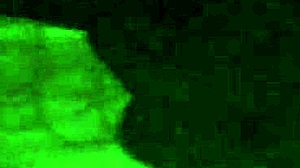 cum on my fat mexican ass, bitch