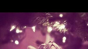 happy holidays with massive tits and solo cum play