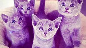 happy holidays with massive tits and solo cum play