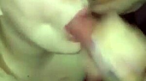 short videos that are really tasty