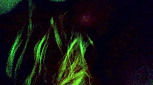 嗯，知道和老婆要干起来了...😜