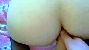 Anal Sex Compilation with Hot Latinas