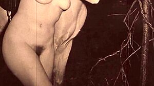 dark lantern entertainment presents vintage beauty and the beast with natural elements