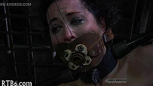 Watch these sadomasochism whipping scenes now