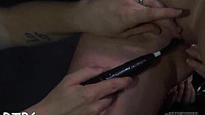 Sweet Chick Devours Treat During Activity