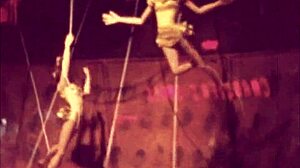 Vintage Cartoon Retro Antique Collection