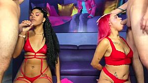 Sluts Suck Cock Wildly While Getting Footjobs!