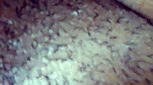 pussy squirts during head