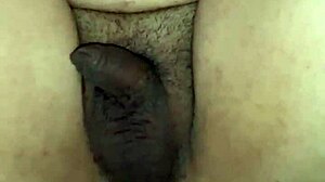 fucking nephew secretly while wife vacations