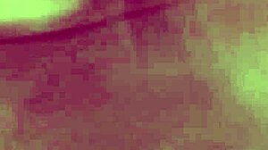 Hot girl in tight shorts at market