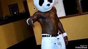 male strippers aren't gay