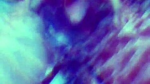 me gusta ser una puta ponerme en 4 las vergas gordas