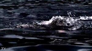 Is that supernatural sexy bikini girl swimming?