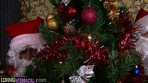 Spitroasted beauty sucking black cock with big tits bouncing