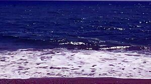 Gay Dogging With Stranger On Beach Bareback