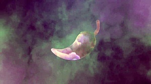 i met a friend at the mall and gave it to his brother see more on xv red