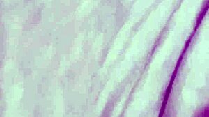 Vivi Guedez secretly films adult movie with black partner including anal assfucking, blowjob, and facial