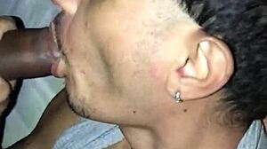 ever tried a thick negão at the gloryhole giving throat cream like in o diário de mamadas ii?