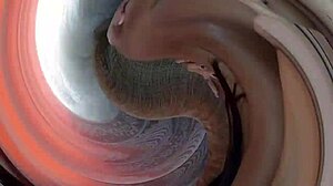 Feeling the passion with two sexy brunettes by the poolside, Diana Smith shines in DNox Brazil's steamy encounter