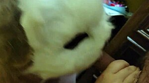 quick closet sex with spanking and cum in mouth