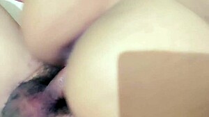 riding my best friend's mexican wife in cowgirl with tight leggings