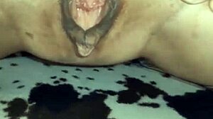 I, um, need a guy to care for me... and love me lots!