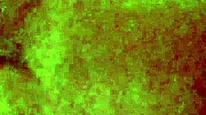 i filmed my neighbor riding but she caught me and moaned loudly with her big tits