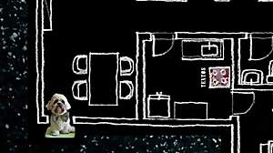 andremedeiros martins in gay scene