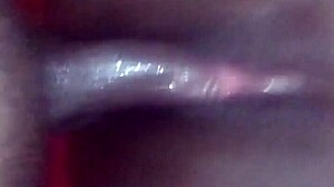 ebony queen in close-up view