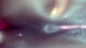 ebony queen in close-up view