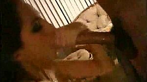 i got a pov blowjob from jenna haze leading to facial cumshot