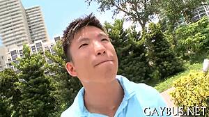 Homosexual Video Sex Scenes Compilation