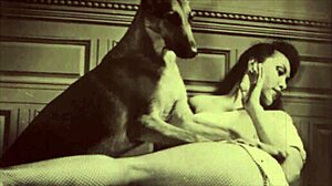 嘿，想偷看复古禁忌的阴部户外吗？