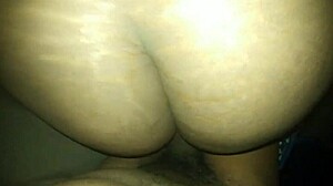 Pretty wet pussy and fat ass in close-up action.