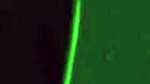 sexy girl gets warm cum 😋