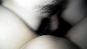 这温柔越南风情是怎么回事？