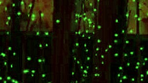 FUN PARTY WITH LAGBOYS TEAM, ATAKO RED GREETINGS ALL!!