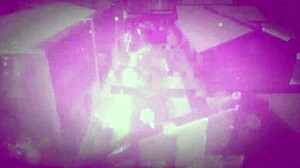 feline the blue futanari pounds with monster cock in hentai action