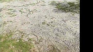 Latina girlfriend loses phone, intimate videos leaked online with tattoo and blonde friend in public.